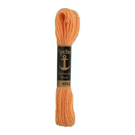Izšūšanas diegs Anchor Tapestry wool, 100% vilna, 10m, #09554