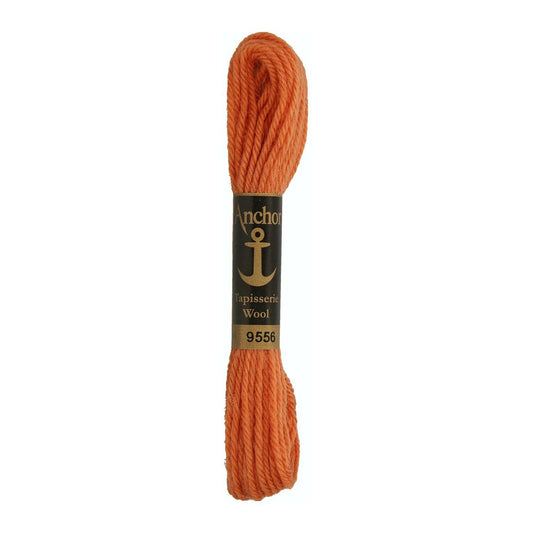 Izšūšanas diegs Anchor Tapestry wool, 100% vilna, 10m, #09556