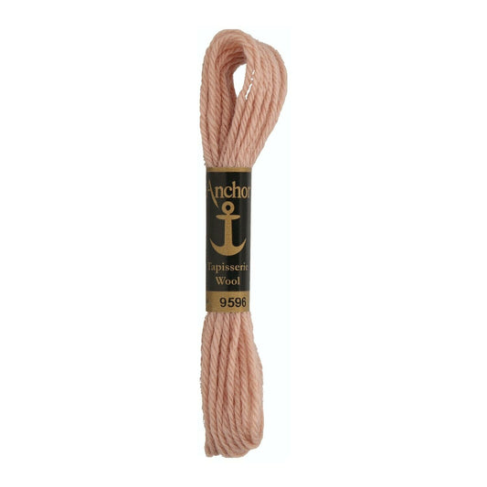 Izšūšanas diegs Anchor Tapestry wool, 100% vilna, 10m, #09596