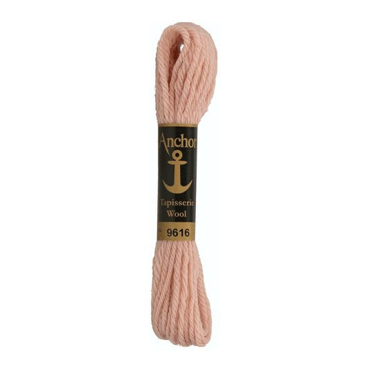 Izšūšanas diegs Anchor Tapestry wool, 100% vilna, 10m, #09616