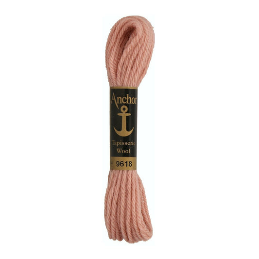 Izšūšanas diegs Anchor Tapestry wool, 100% vilna, 10m, #09618