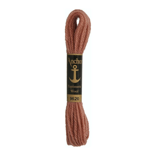 Izšūšanas diegs Anchor Tapestry wool, 100% vilna, 10m, #09620