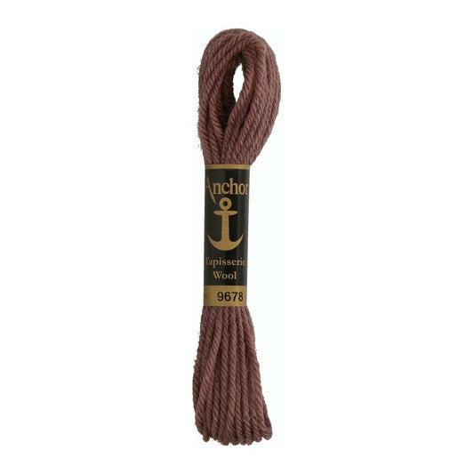 Izšūšanas diegs Anchor Tapestry wool, 100% vilna, 10m, #09678