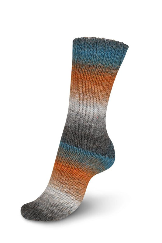 Regia Virtuoso Color 6-diegu 150g #3073 "Pilsētas noskaņojums"