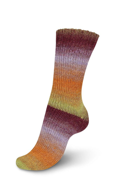 Regia Virtuoso Color 6-diegu 150g #3074 "Chianti vīna degustācija"