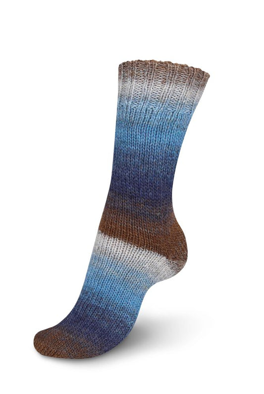 Regia Virtuoso Color 6-diegu 150g #3076 "Ziemeļu ainava"