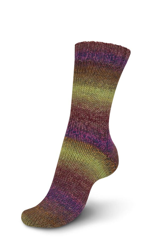 Regia Virtuoso Color 6-diegu 150g #3078 "Virši"