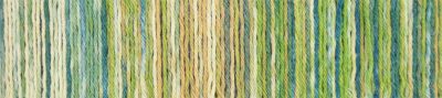 Wunderklecks /Schoppel/ 100g #2177 "Sienāzis" 4-diegu zeķu dzija, ar bioloģiski noārdāmu poliesteru