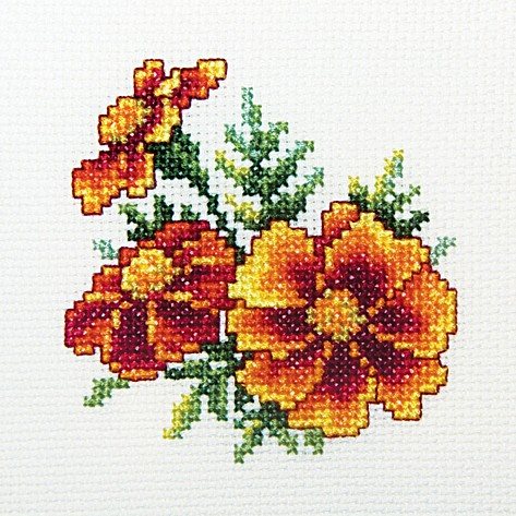 Samtenes - izšūšanas komplekts /RTO/ 10 x 10 cm