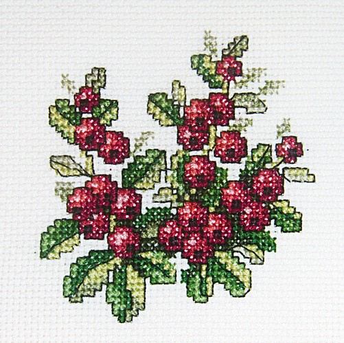 Dzērvene - izšūšanas komplekts /RTO/ 10 x 10 cm