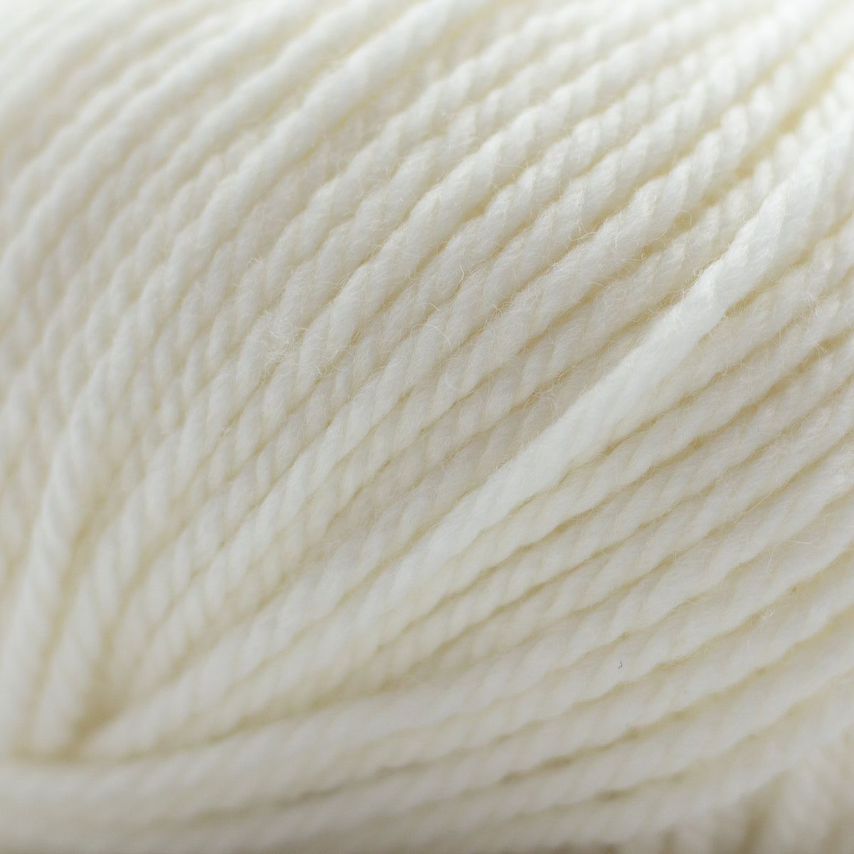 NUOVO IRLANDA /Lana Gatto/ 50g #8000 "Piena balts"