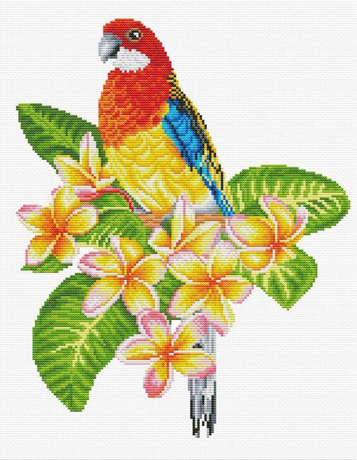 ROSELLA PARROT - izšūšanas komplekts /Ladybird/ 26 x 32 cm