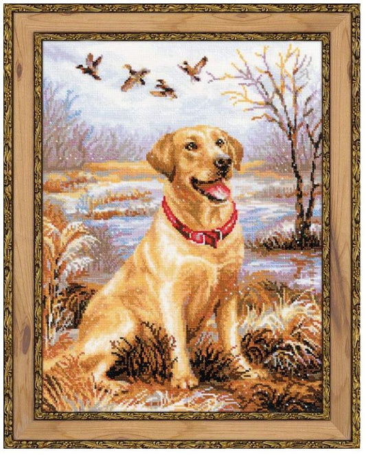 Labradors - izšūšanas komplekts /RIOLIS/ 30 x 40 cm