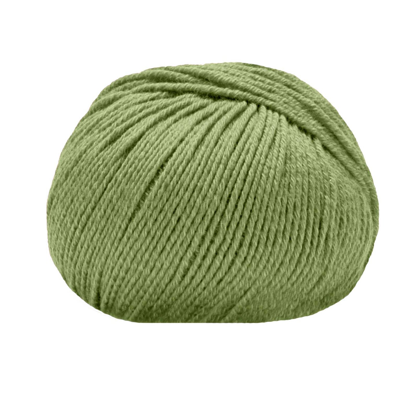 Merinocot /Lana Gatto/ 50g #14529 "Leaf green"