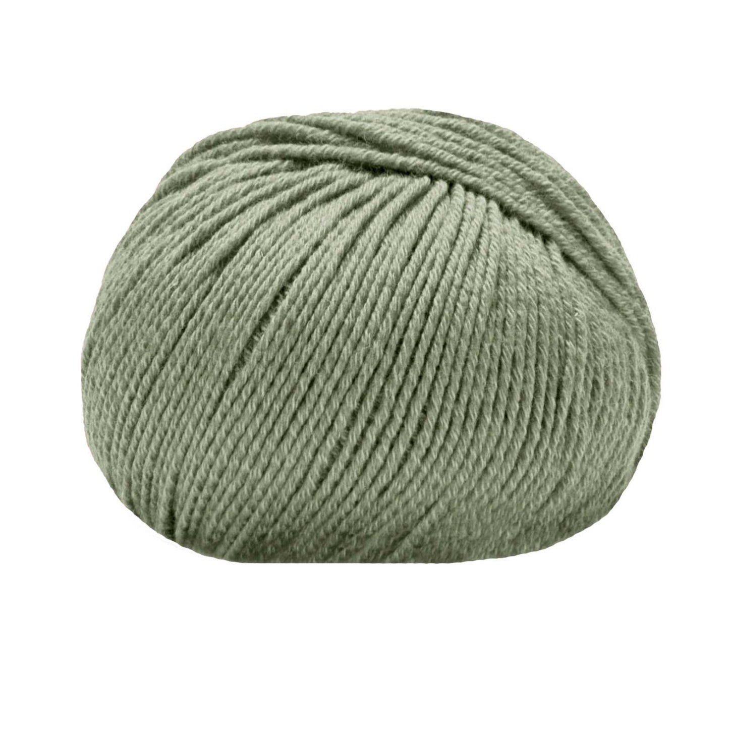 Merinocot /Lana Gatto/ 50g #14569 "Salveiroheline"