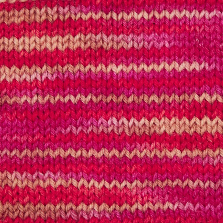 Symfonie Terra 4-diegu 100g #VR2022 "Rabarberi"